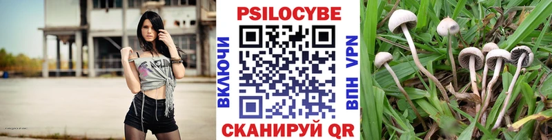 Псилоцибиновые грибы GOLDEN TEACHER как найти закладки Нелидово